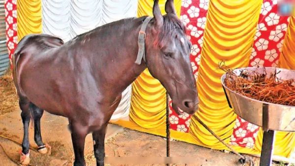 ஆசை ஆசையா அந்தியூருக்கு ஓடிவந்த அம்பானி? இதுதான் அந்த 