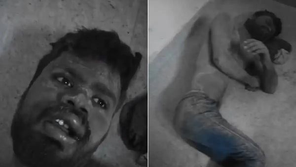 உயிரோடு புதைக்கப்பட்ட இளைஞர்.. காப்பாற்றிய தெருநாய்கள்.. நடந்தது என்ன?