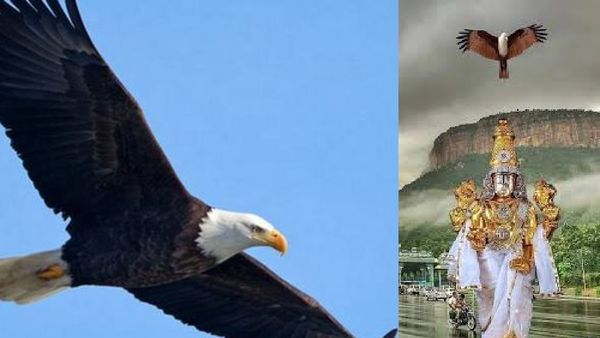 வானில் சத்தமிட்ட கருடன்.. வட்டமிடுவதற்கு காரணம் இதுதானா? கருட தரிசனத்தில் இத்தனை பலன்களா