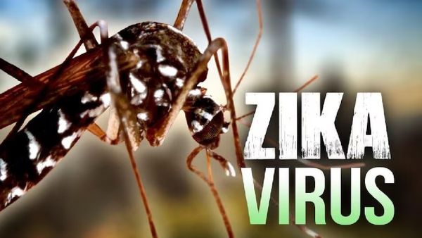 கர்நாடகாவில் நுழைந்தது கேரளாவை உலுக்கிய ஜிகா வைரஸ்- பெங்களூரில் மட்டும் 6 பேருக்கு பாதிப்பு!