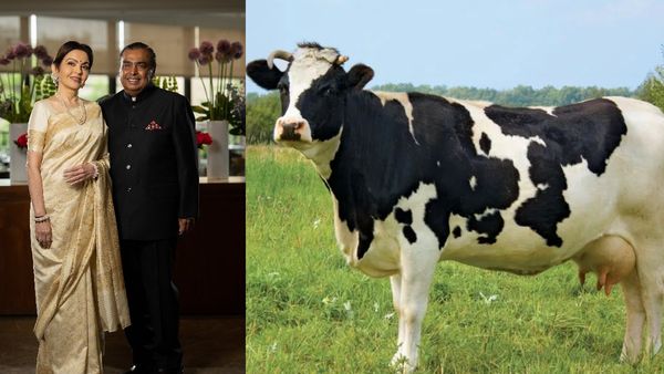 முகேஷ் அம்பானி குடும்பத்தினர் பயன்படுத்தும் பால் எது தெரியுமா? விலையை கேட்டால் ஆடி போய்டுவீங்க!