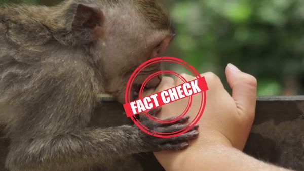 Fact Check: குரங்குக் கடியால் 'குரங்கு மனிதராக' உருமாறிய நபர்- பரவும் வீடியோ- உண்மைதான் என்ன?