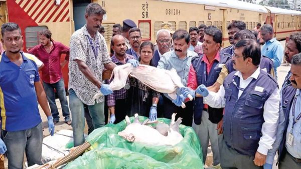 சென்னை எக்மோரில்.. கண்டெய்னருக்குள் எட்டிப்பார்த்த போலீஸ்.. தெர்மாகோல் பெட்டிக்குள்ளே 