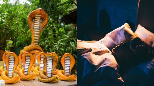 நாக பஞ்சமியான இன்று பாம்புகள் உங்கள் கனவில் வந்தால் என்ன பலன்?