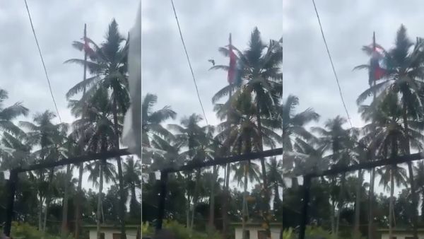 அதிசயமா இது! கேரளாவில் தேசியக் கொடி பறக்க உதவிய காகம்? உண்மையில் நடந்ததே வேற.. இந்த வீடியோ பாருங்க