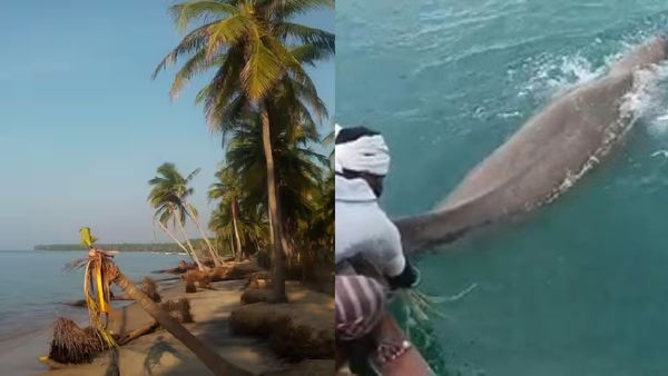 ராமநாதபுரம் கடலில் அதென்ன உருவம்? பார்த்ததுமே மலைத்து நின்ற தொண்டி மீனவர்கள்.. கலெக்டர் செம பாராட்டு