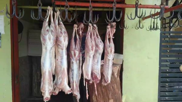 சென்னையில் ரிப்பேரான பிரிட்ஜில் மூட்டைகள்! பிரித்தால் பூஞ்சை பிடித்த ஆட்டுக்கால்கள்! 600 kg அழிப்பு