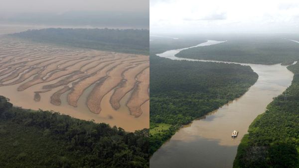 மெல்ல அழியும் உலகின் மிக பெரிய நதி.. அமேசானில் என்ன தான் நடக்கிறது.. இதுதான் அழிவின் தொடக்கமா?