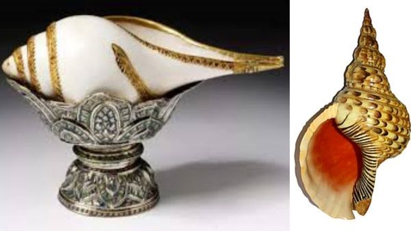 வாசலில் வலம்புரிச் சங்கு இருக்கா? வீட்டில் திருஷ்டி நீங்கி பணம் வரும்.. வலம்புரி சங்கை பெண் தொடலாமா?