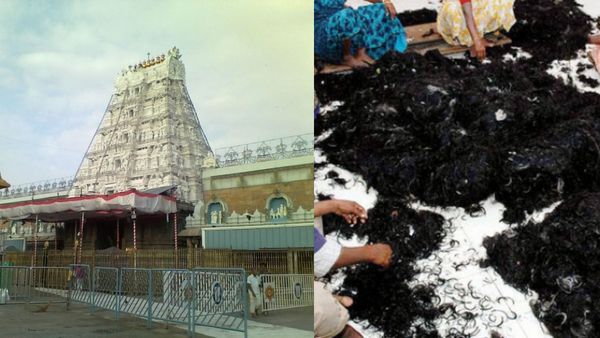 திருப்பதியில் காணிக்கையாக குவியும் 500 டன் முடி எங்கே போகிறது? என்ன செய்வார்கள் தெரியுமா?
