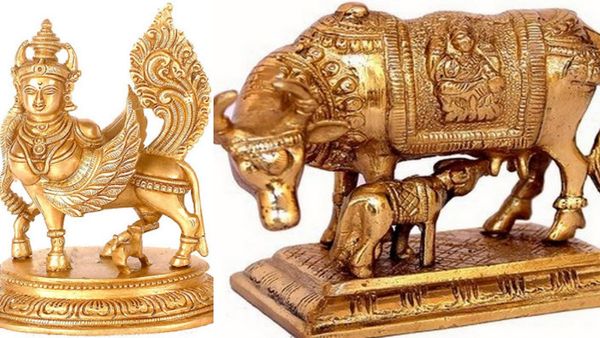 காமதேனு.. கேட்டதையெல்லாம் தரும் தெய்வீக பசு.. வீட்டில் இந்த திசையில் காமதேனு சிலையை வெச்சிடாதீங்க 