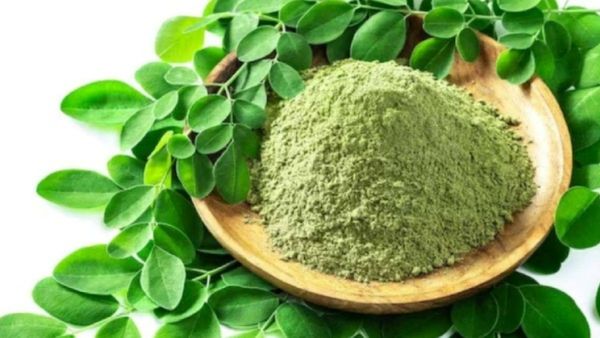 முருங்கை இலை பொடி.. 1 ஸ்பூன் கீரையின் நன்மையை பாருங்க.. பவர்ஃபுல் மருந்தாகும் முருங்கைக்கீரை பவுடர்