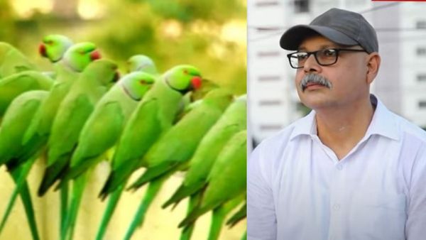 ரியல் மெய்யழகன் ஹீரோ இவர்தான்! தினம் 60 கிலோ அரிசியை கிளிகளுக்கு உணவாக தரும் வள்ளல்