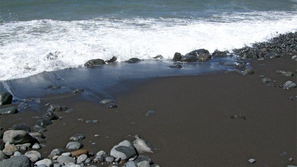 சென்னை ஈசிஆர் கடற்கரையில் கருப்பு நிறத்தில் காணப்படும் மணல்! கடலிலும் மாற்றம்! பொதுமக்கள் அச்சம்!