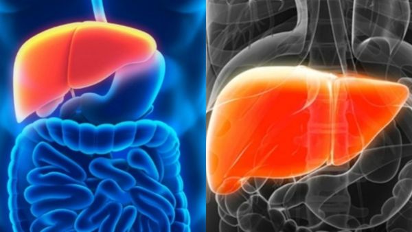 கல்லீரலை காலி செய்றதே இதுதான்.. கல்லீரல் சூப்பராக இயங்க என்ன சாப்பிட வேண்டும்? அசத்தும் சால்மன் மீன்