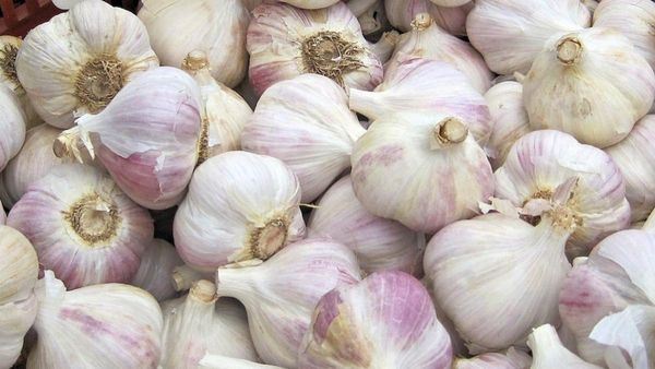 உயிருக்கே ஆபத்து.. தமிழகம் வந்த சீனா பூண்டு! சாப்பிட்டால் அவ்வளவு தான்.. அடையாளம் காண்பது ஈஸி