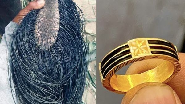 யானை முடி மோதிரத்தை யாரெல்லாம் அணியலாம் தெரியுமா?  எந்த விரலில் அணிய வேண்டும்? 