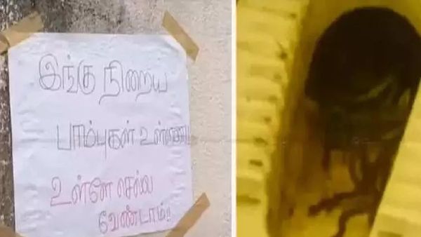 திருவண்ணாமலை அரசு கல்லூரி பெண்கள் கழிவறையில் இப்படியா? லேடீஸ் டாய்லட்டில் நெளிந்த பாம்புகள்.. வீடியோ