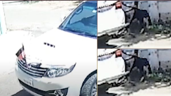 திமுக கொடியுடன் காரில் வந்து ஆடுகளை திருடிய கும்பல்.. காட்டிக்கொடுத்த சிசிடிவி.. நடந்ததை பாருங்க