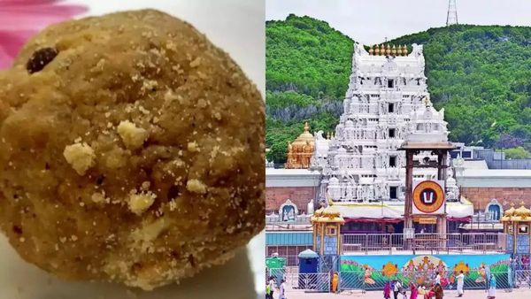  திருப்பதியில் லட்டு பிரசாதம் எப்போது முதல் வழங்கப்படுகிறது தெரியுமா? பூந்தி லட்டான கதை என்ன? 