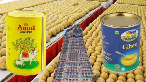 அந்த நெய் எங்க நெய் இல்லை.. திருப்பதி லட்டு விவகாரத்துக்கு.. கும்பிடு போட்ட 