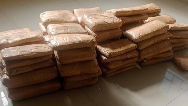 மஞ்சள் கலரில் கொழ கொழன்னு..மிரண்டு போன க்யூ பிராஞ்ச்! 28 கோடி மதிப்பாமே..அமல்ராஜை அமுக்கிய போலீஸ்