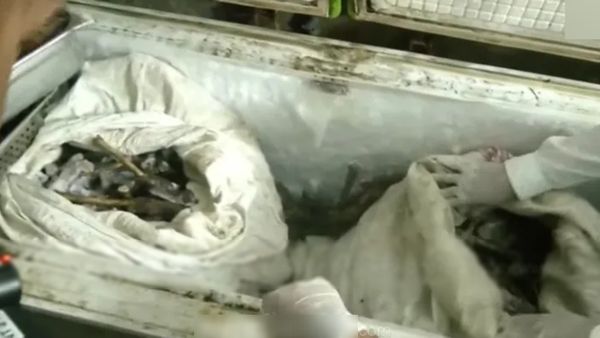 நூல் நூலா ஆட்டுக்காலில்.. மட்டன் கடைக்குள் நுழைந்ததுமே திணறிய ஆபீசர்ஸ்.. விழித்த சென்னை சைதாப்பேட்டை