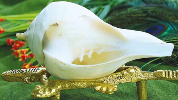 வலம்புரி சங்கை வீட்டில் வைத்து பூஜை செய்யலாமா? என்னென்ன பலன்கள் தெரியுமா?