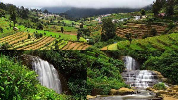 குளுகுளு கொடைக்கானலில் வில்பட்டி பயணம்.. பள்ளத்தாக்கு டூ மலை உச்சி.. மறக்க முடியாத நிகழ்வு