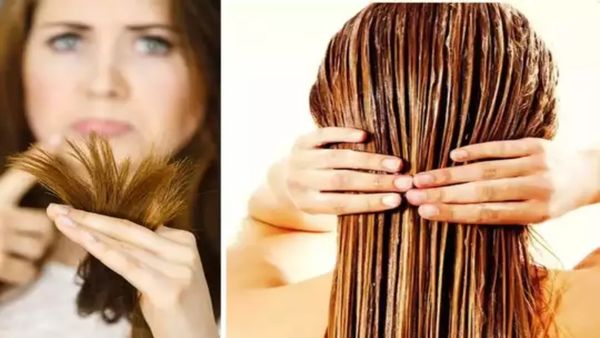 கறிவேப்பிலையின் ஆச்சரியம்.. செம்பட்டை தலைமுடி? நீங்க இதை மட்டும் ட்ரை பண்ணுங்க.. கருகரு முடி வளரும்