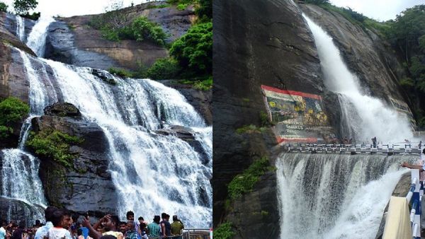 ரீல்ஸ் வீடியோ எடுங்க! பரிசுகளை அள்ளுங்கள்! குற்றாலம் குறித்த சுற்றுலாவை மறக்காதீங்க! 