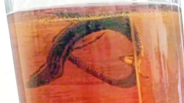 கடலூரில் குவார்ட்டர் பாட்டிலை கடகடன்னு குடித்த நபர்..குறுக்கே வந்த 