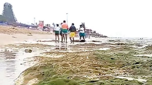 திருச்செந்தூர் கடலில் மாற்றம்.. அந்த பாசி படர்ந்த பாறையில்.. பக்தர்கள் அசரலையே.. நாளைக்கு என்னாகுமோ?