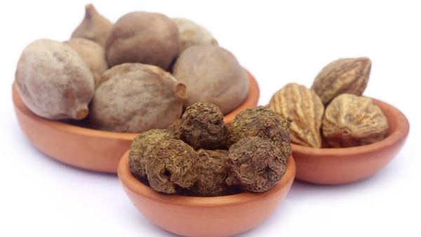 திரிபலா சூரணம்.. பலபல பலனுள்ள திரிபலா மூலிகை.. ஆரோக்கியத்தின் காவலன்.. திரிபலாவை எப்படி சாப்பிடலாம்