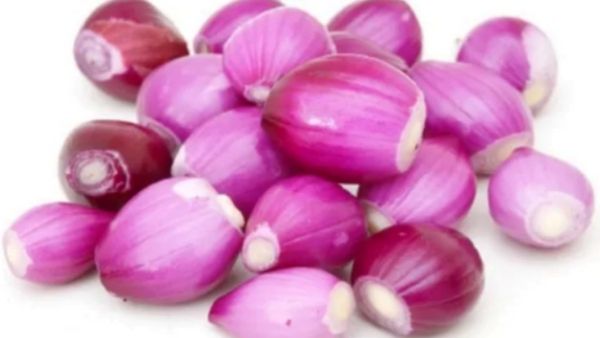 சின்ன வெங்காயம் ஆரோக்கியம்.. மூல நோய் முதல் நரம்பு தளர்ச்சி வரை குணமாக்கும்..ஏகப்பட்ட ஹெல்த் பலன்கள்