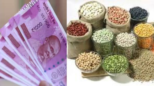 நிலம் வைத்திருப்போருக்கு ரூ.480 மானியம்.. சிறுதானியங்களுக்கு ரூ.65 கோடி மான்யம்.. விவசாயிகள் ஹேப்பி