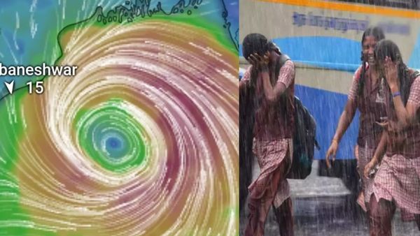 கன்னியாகுமரி காட்டாற்று வெள்ளம்.. மாணவர்களை காப்பாற்றிய பழங்குடி மக்கள்.. பள்ளிகளுக்கு விடுமுறை