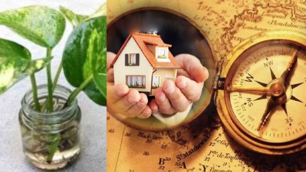 இந்த 5 தப்பை தப்பித்தவறி செய்யாதீங்க.. வீட்டில் செய்ய வேண்டிய டாப் 5 விஷயம்.. மணி பிளான்ட் கவனியுங்க