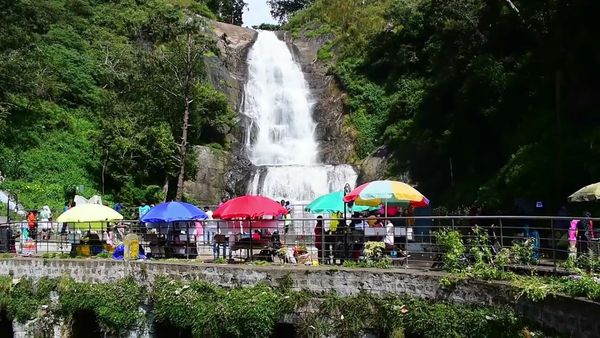 கொடைக்கானல் வெள்ளி நீர் வீழ்ச்சியில் தலை இல்லாமல் மிதந்த பெண் உடல்.. ஆடிப்போன சுற்றுலா பயணிகள்