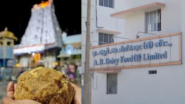 திகைக்க வைத்த திருப்பதி லட்டு! தமிழ்நாட்டுக்கே வரும் ஆந்திர எஸ்ஐடி..இன்று ஏஆர் டெய்ரி ஆலையில் சோதனை?