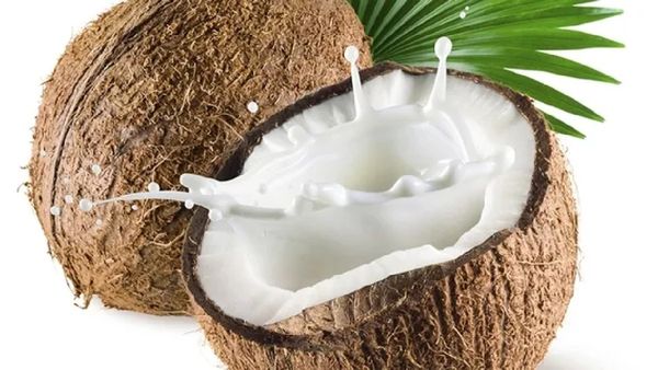 தேங்காயின் ஆரோக்கிய நன்மைகள்.. துண்டு பச்சை தேங்காய் போதுமே.. நீரிழிவு நோயாளி தேங்காய் சாப்பிடலாமா?