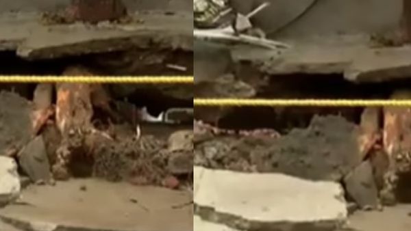 சென்னை அமைந்தகரை நெல்சன் மாணிக்கம் சாலையில் உள்வாங்கிய அபார்ட்மென்ட்! அச்சத்தில் மக்கள்