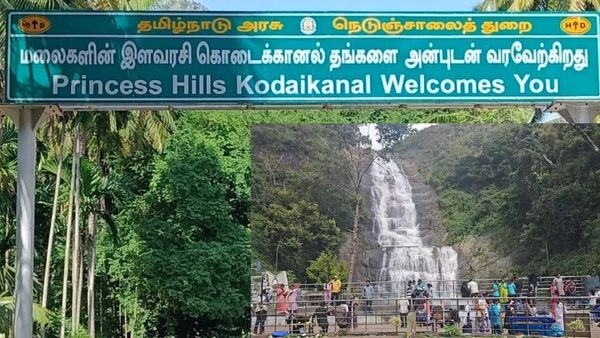 கொடைக்கானலில் சத்தமில்லாமல் நடக்க போகும் இரண்டு சூப்பர் விஷயம்.. சுற்றுலாத்துறை இயக்குனர் தகவல் 