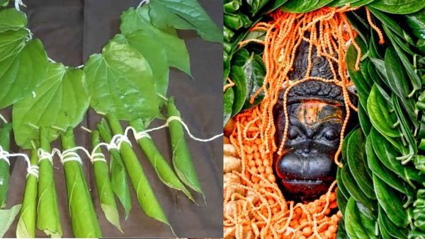 வெற்றிலை மாலை தரும் வெற்றி.. எத்தனை வெற்றிலையை வைத்து கட்டலாம்? பாக்கு தேவையா? அருள் தரும் ஆஞ்சநேயர்