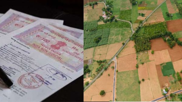 30 நாளில் நிலத்தை அளந்து உட்பிரிவு செய்து தனி பட்டா வழங்காவிட்டால்.. ஐகோர்ட் உத்தரவு தெரியுமா?