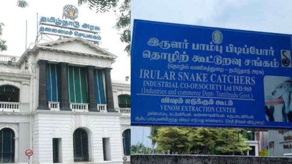 4500 பாம்புகளை பிடித்துக் கொள்ள அனுமதி! இருளர் கூட்டுறவு சங்கம் ஹேப்பி!