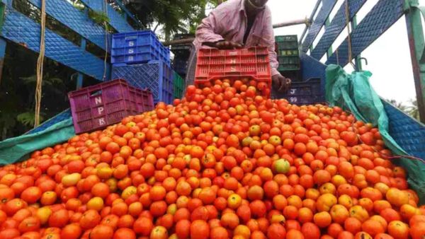 கோயம்பேடு சந்தையில் குவிந்த தக்காளி.. ஒரே நாளில் ரூ.50 விலை குறைவு! மக்கள் நிம்மதி