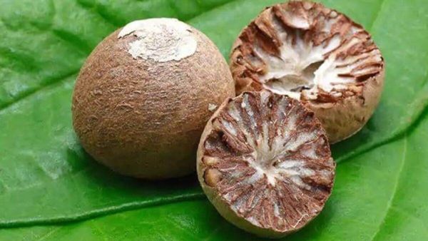 வாய் புற்றுநோய்.. கொட்டைப்பாக்கும், கொழுந்து வெத்தலயும் உடலுக்கு நல்லதா? ஆரோக்கியமான கொட்டை பாக்கு