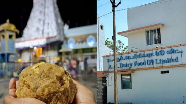 திருப்பதி லட்டு நெய்யில் கலப்படம்? மத்திய அரசை சரமாரி கேள்வி கேட்ட மதுரை ஹைகோர்ட் நீதிபதி