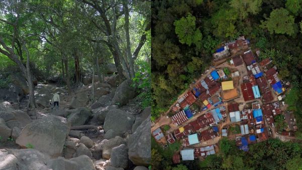 கொடைக்கானல் வெள்ளகவி முதல், ஊட்டி அவலாஞ்சி வரை.. டிரக்கிங் செல்ல எந்த ஊருக்கு எவ்வளவு கட்டணம்